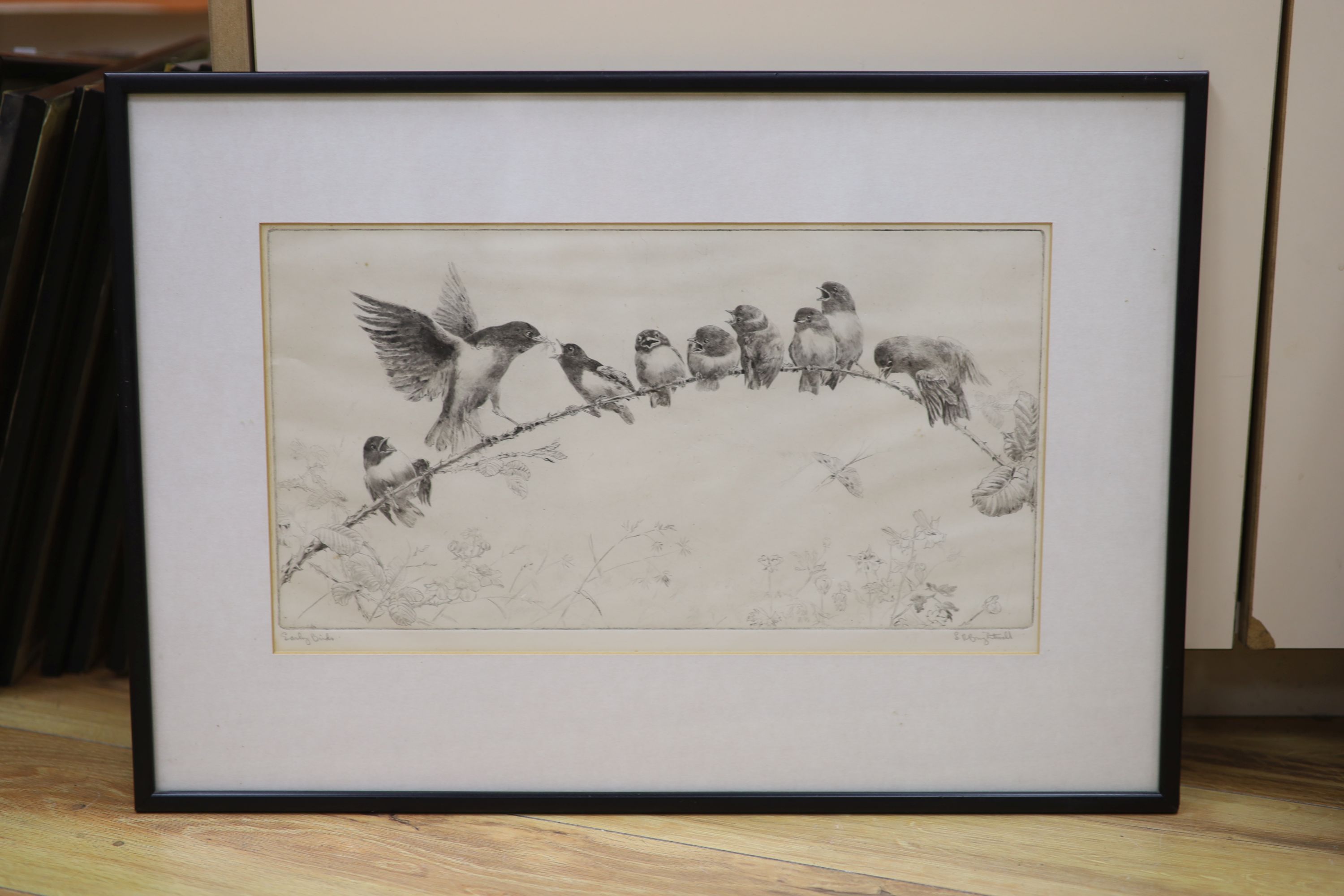 Leonard Robert Brightwell (1889-1983), etching, Early Birds, signed in pencil, 20 x 38cm